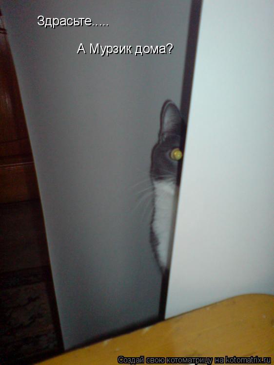 Здрасьте..... А Мурзик дома?... Котоматрица: Здрасьте..... А Мурзик дома?