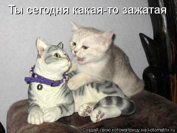Ты сегодня какая-то зажатая... Котоматрица: Ты сегодня какая-то зажатая