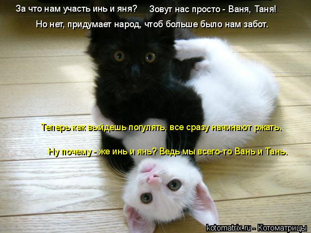 За что нам участь инь и яня? Теперь как выйдешь погулять, все сразу начинают ржать. Зовут нас просто ... Котоматрица: За что нам участь инь и яня? Теперь как выйдешь погулять, все сразу начинают ржать. Зовут нас просто - Ваня, Таня! Но нет, придумает народ, чтоб