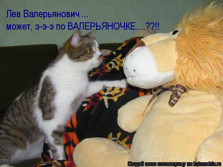 Лев Валерьянович ... может, э-э-э по ВАЛЕРЬЯНОЧКЕ....??!!... Котоматрица: Лев Валерьянович ... может, э-э-э по ВАЛЕРЬЯНОЧКЕ....??!!