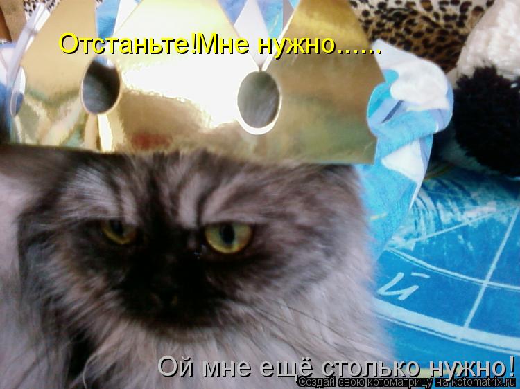Отстаньте!Мне нужно...... Ой мне ещё столько нужно!... Котоматрица: Отстаньте!Мне нужно...... Ой мне ещё столько нужно!