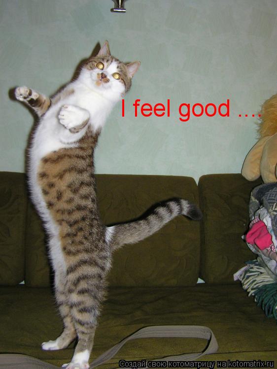 I feel good ....... Котоматрица: I feel good ....