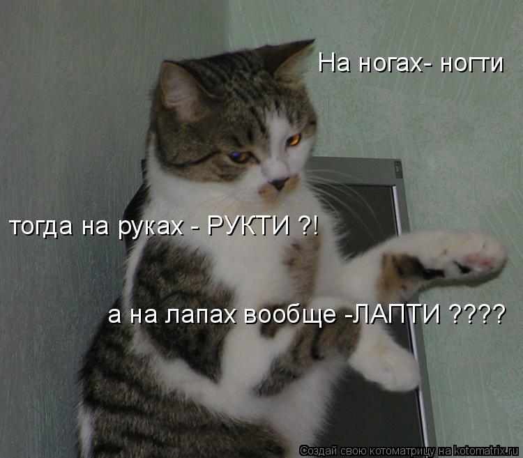 На ногах- ногти тогда на руках - РУКТИ ?! а на лапах вообще -ЛАПТИ ????... Котоматрица: На ногах- ногти тогда на руках - РУКТИ ?! а на лапах вообще -ЛАПТИ ????