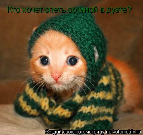 Кто хочет спеть со мной в дуэте?... Котоматрица: Кто хочет спеть со мной в дуэте?