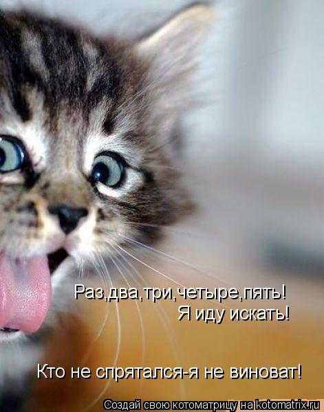 Раз,два,три,четыре,пять! Я иду искать! Кто не спрятался-я не виноват!... Котоматрица: Раз,два,три,четыре,пять! Я иду искать! Кто не спрятался-я не виноват!