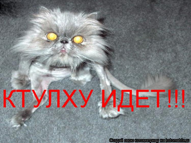 КТУЛХУ ИДЕТ!!!... Котоматрица: КТУЛХУ ИДЕТ!!!