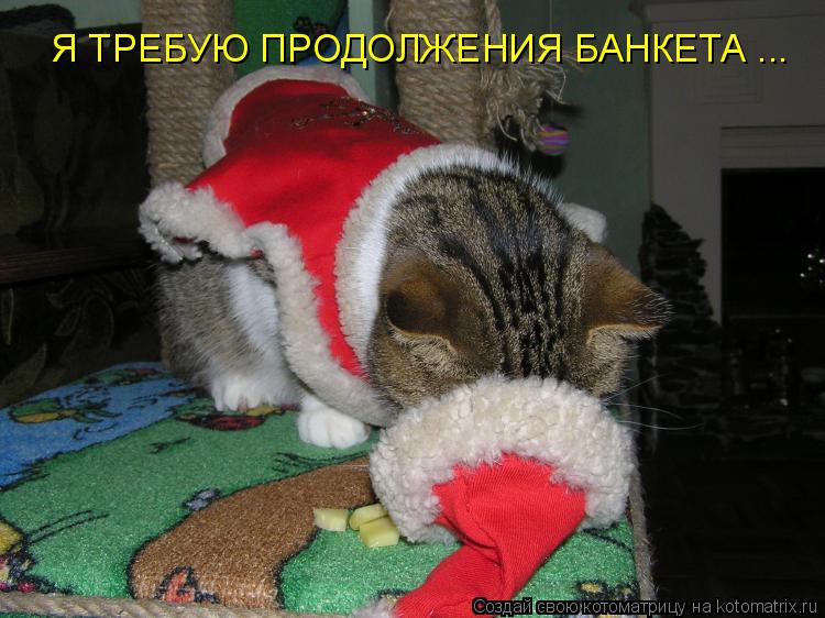 Я ТРЕБУЮ ПРОДОЛЖЕНИЯ БАНКЕТА ...... Котоматрица: Я ТРЕБУЮ ПРОДОЛЖЕНИЯ БАНКЕТА ...