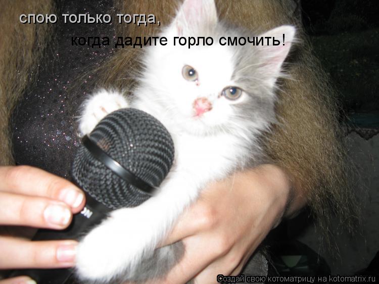 спою только тогда, когда дадите горло смочить !... Котоматрица: спою только тогда, когда дадите горло смочить !