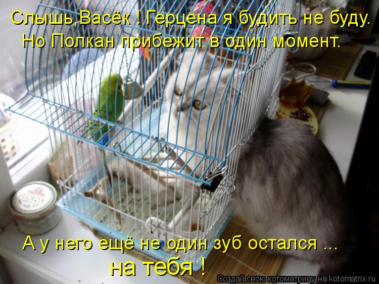 Слышь,Васёк ! Герцена я будить не буду. Но Полкан прибежит в один момент. А у него ещё не один зуб ос... Котоматрица: Слышь,Васёк ! Герцена я будить не буду. Но Полкан прибежит в один момент. А у него ещё не один зуб остался ... на тебя !
