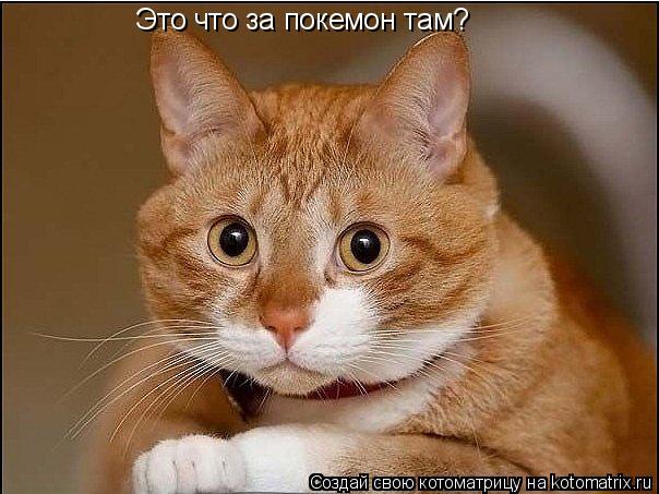 Это что за покемон там?... Котоматрица: Это что за покемон там?
