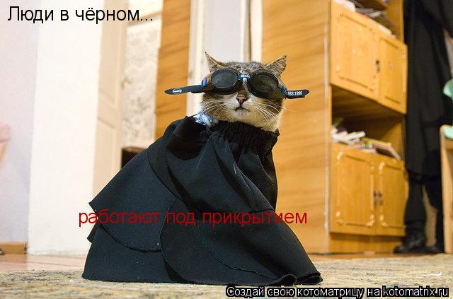 Люди в чёрном... работают под прикрытием... Котоматрица: Люди в чёрном... работают под прикрытием