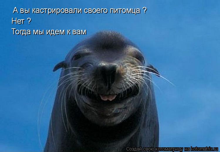 А вы кастрировали своего питомца ? Нет ? Тогда мы идем к вам... Котоматрица: А вы кастрировали своего питомца ? Нет ? Тогда мы идем к вам