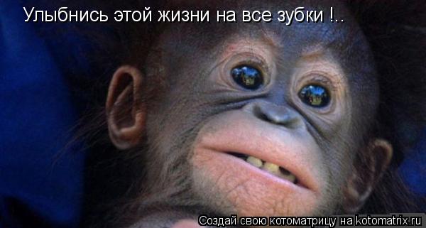 Улыбнись этой жизни на все зубки !..... Котоматрица: Улыбнись этой жизни на все зубки !..