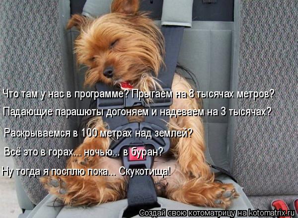 Что там у нас в программе? Прыгаем на 8 тысячах метров? Падающие парашюты догоняем и надеваем на 3 т... Котоматрица: Что там у нас в программе? Прыгаем на 8 тысячах метров? Падающие парашюты догоняем и надеваем на 3 тысячах? Раскрываемся в 100 метрах над земле