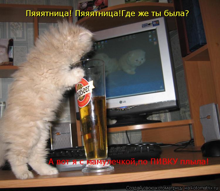 Пяяятница! Пяяятница!Где же ты была? А вот я с мамулечкой,по ПИВКУ плыла!... Котоматрица: Пяяятница! Пяяятница!Где же ты была? А вот я с мамулечкой,по ПИВКУ плыла!