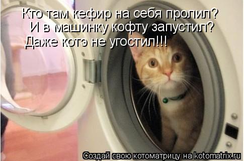 Кто там кефир на себя пролил? И в машинку кофту запустил? Даже котэ не угостил!!!... Котоматрица: Кто там кефир на себя пролил? И в машинку кофту запустил? Даже котэ не угостил!!!
