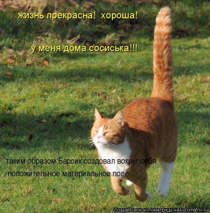 у меня дома сосиська!!! таким образом Барсик создовал вокруг себя положительное материальное поле жи... Котоматрица: у меня дома сосиська!!! таким образом Барсик создовал вокруг себя положительное материальное поле жизнь прекрасна! хороша! положительное