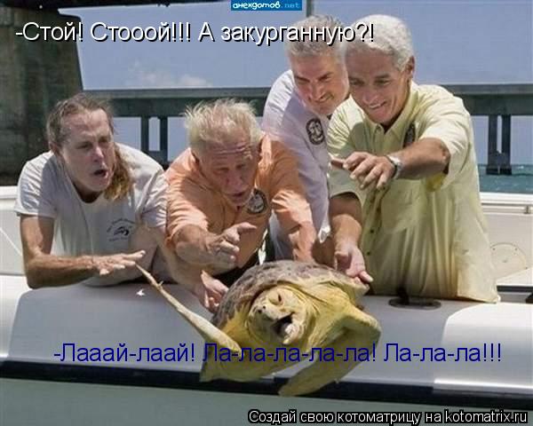 -Стой! Стооой!!! А закурганную?! -Лааай-лаай! Ла-ла-ла-ла-ла! Ла-ла-ла!!!... Котоматрица: -Стой! Стооой!!! А закурганную?! -Лааай-лаай! Ла-ла-ла-ла-ла! Ла-ла-ла!!!
