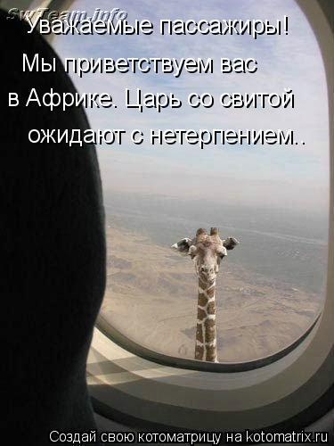 Уважаемые пассажиры! Мы приветствуем вас в Африке. Царь со свитой ожидают с нетерпением..... Котоматрица: Уважаемые пассажиры! Мы приветствуем вас в Африке. Царь со свитой ожидают с нетерпением..