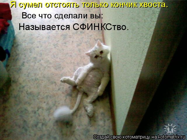 Я сумел отстоять только кончик хвоста. Все что сделали вы: Называется СФИНКСтво.... Котоматрица: Я сумел отстоять только кончик хвоста. Все что сделали вы: Называется СФИНКСтво.