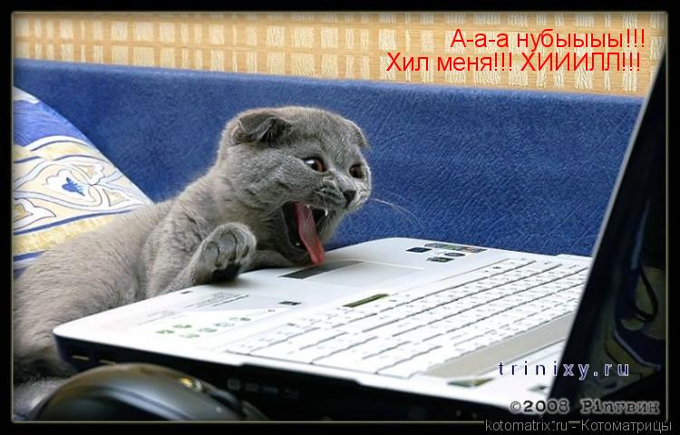 А-а-а нубыыыы!!! Хил меня!!! ХИИИЛЛ!!!... Котоматрица: А-а-а нубыыыы!!! Хил меня!!! ХИИИЛЛ!!!