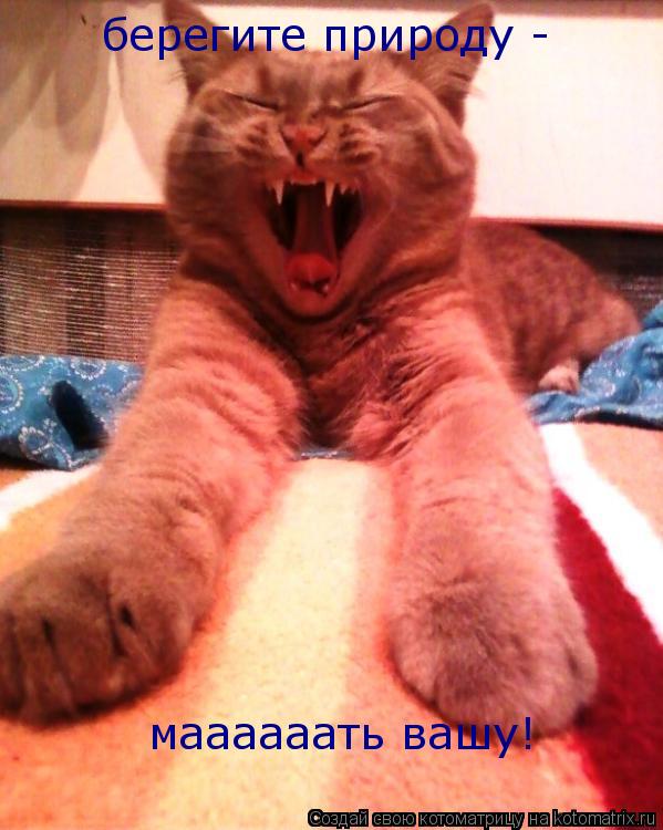 берегите природу - маааааать вашу!... Котоматрица: берегите природу - маааааать вашу!