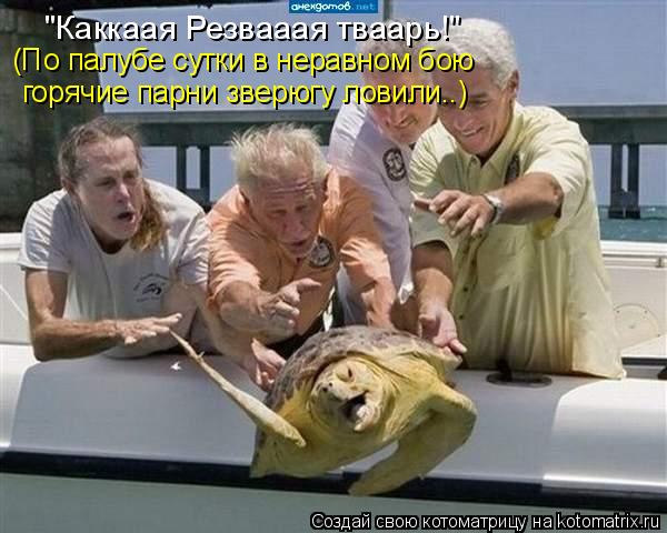 (По палубе сутки в неравном бою горячие парни зверюгу ловили..) "Каккаая Резвааая тваарь!"... Котоматрица: (По палубе сутки в неравном бою горячие парни зверюгу ловили..) "Каккаая Резвааая тваарь!"