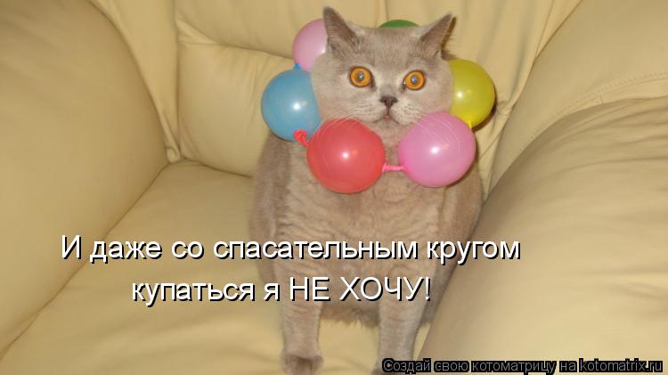 И даже со спасательным кругом купаться я НЕ ХОЧУ!... Котоматрица: И даже со спасательным кругом купаться я НЕ ХОЧУ!
