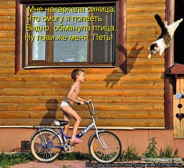 Мне накаркала синица, Что смогу я полееть. Видно, обманула птица... Ну лови же меня, Петь!... Котоматрица: Мне накаркала синица, Что смогу я полееть. Видно, обманула птица... Ну лови же меня, Петь!