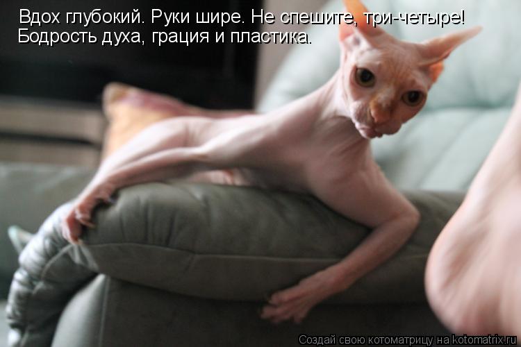 http://kotomatrix.ru/images/lolz/2010/08/17/655851.jpg