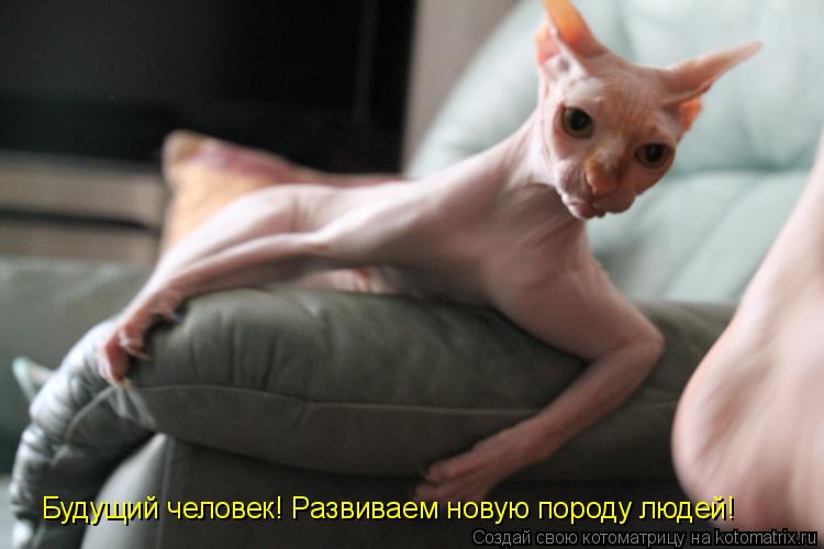 Будущий человек! Развиваем новую породу людей!... Котоматрица: Будущий человек! Развиваем новую породу людей!