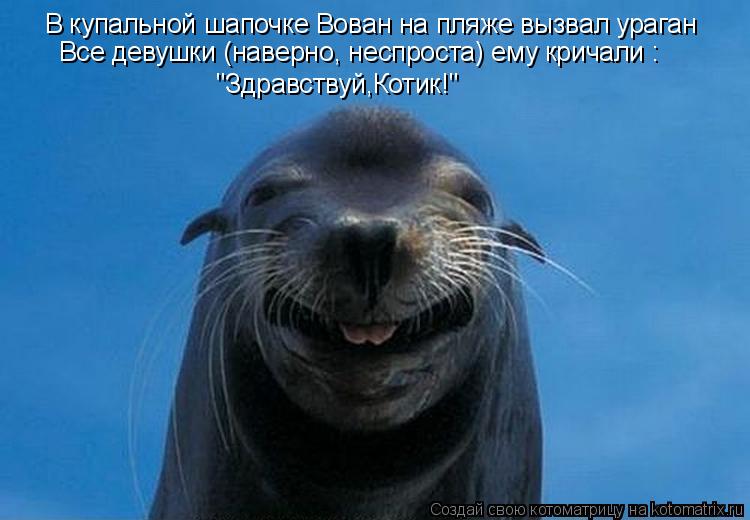 В купальной шапочке Вован на пляже вызвал ураган "Здравствуй,Котик!" Все девушки (наверно, неспроста)... Котоматрица: В купальной шапочке Вован на пляже вызвал ураган "Здравствуй,Котик!" Все девушки (наверно, неспроста) ему кричали :