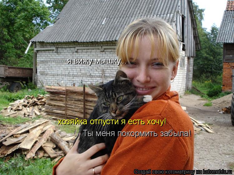я вижу мышку... хозяйка отпусти я есть хочу! Ты меня покормить забыла!... Котоматрица: я вижу мышку... хозяйка отпусти я есть хочу! Ты меня покормить забыла!