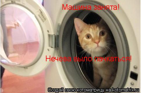 Машина занята! Нечева выло пачкаться!... Котоматрица: Машина занята! Нечева выло пачкаться!