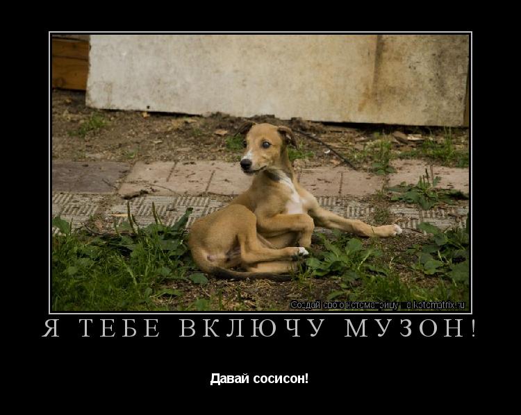 Я тебе включу музон! Давай сосисон!... Котоматрица: Я тебе включу музон! Давай сосисон!