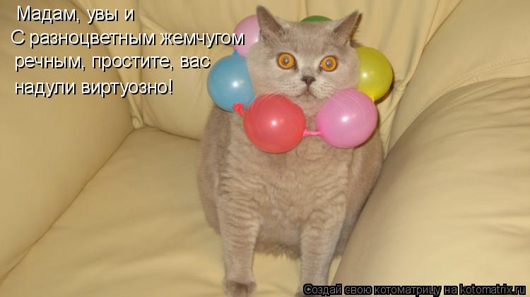 С разноцветным жемчугом надули виртуозно! Мадам, увы и речным, простите, вас... Котоматрица: С разноцветным жемчугом надули виртуозно! Мадам, увы и речным, простите, вас
