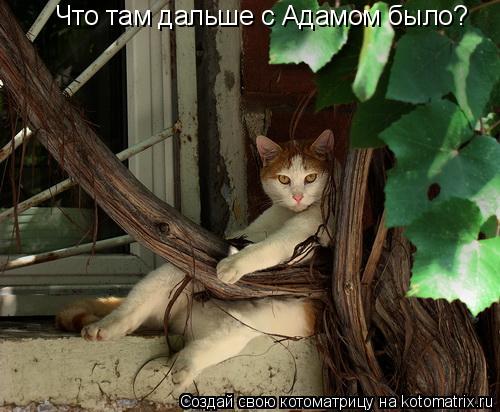 Что там дальше с Адамом было?... Котоматрица: Что там дальше с Адамом было?