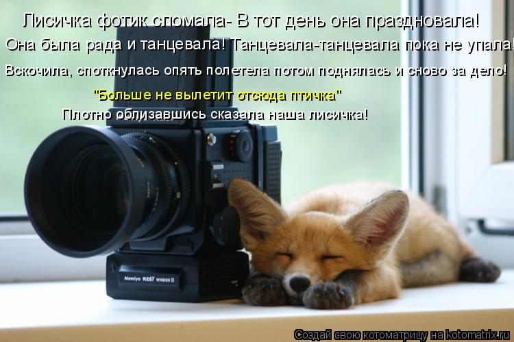 Лисичка фотик сломала- В тот день она праздновала! Она была рада и танцевала! Танцевала-танцевала по... Котоматрица: Лисичка фотик сломала- В тот день она праздновала! Она была рада и танцевала! Танцевала-танцевала пока не упала! Вскочила, споткнулась опят