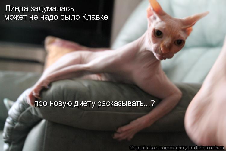 Линда задумалась, может не надо было Клавке про новую диету расказывать...?... Котоматрица: Линда задумалась, может не надо было Клавке про новую диету расказывать...?