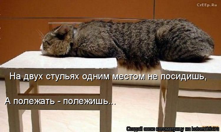 На двух стульях одним местом не посидишь, А полежать - полежишь...... Котоматрица: На двух стульях одним местом не посидишь, А полежать - полежишь...