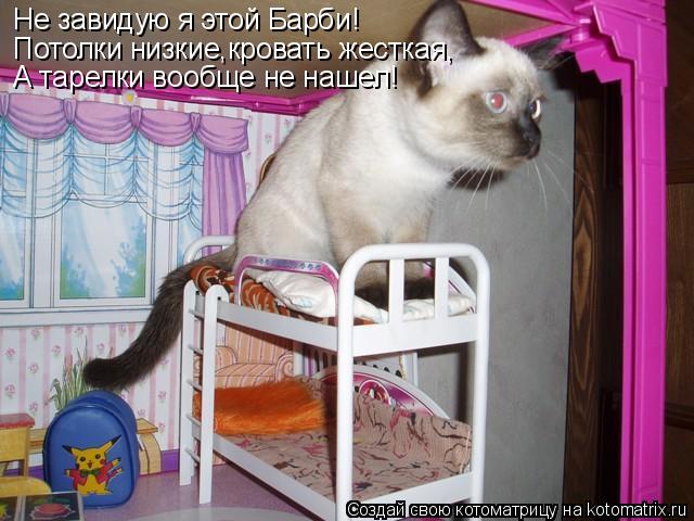Не завидую я этой Барби! Потолки низкие,кровать жесткая, А тарелки вообще не нашел!... Котоматрица: Не завидую я этой Барби! Потолки низкие,кровать жесткая, А тарелки вообще не нашел!