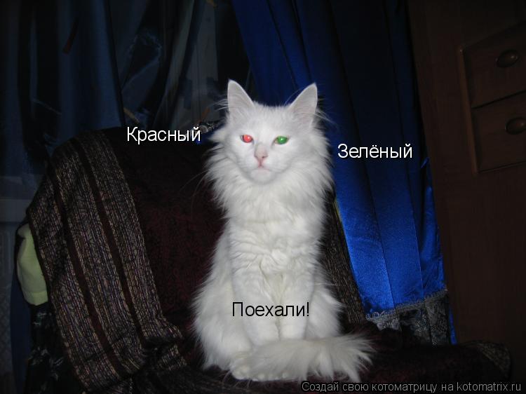Красный Зелёный Поехали!... Котоматрица: Красный Зелёный Поехали!
