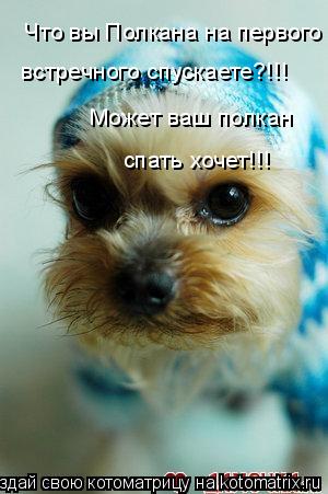 Что вы Полкана на первого Может ваш полкан спать хочет!!! встречного спускаете?!!!... Котоматрица: Что вы Полкана на первого Может ваш полкан спать хочет!!! встречного спускаете?!!!