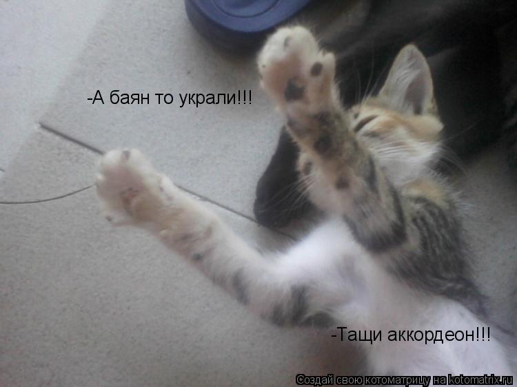 -А баян то украли!!! -Тащи аккордеон!!!... Котоматрица: -А баян то украли!!! -Тащи аккордеон!!!