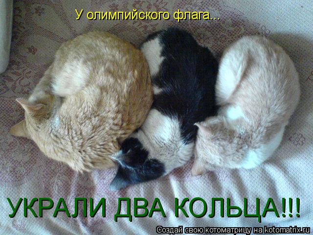 У олимпийского флага... УКРАЛИ ДВА КОЛЬЦА!!!... Котоматрица: У олимпийского флага... УКРАЛИ ДВА КОЛЬЦА!!!