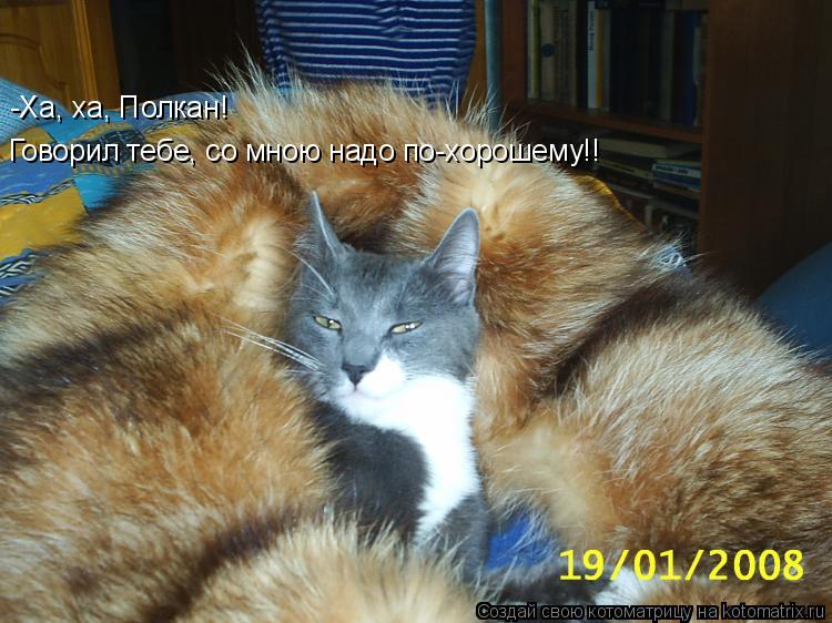 -Ха, ха, Полкан! Говорил тебе, со мною надо по-хорошему!!... Котоматрица: -Ха, ха, Полкан! Говорил тебе, со мною надо по-хорошему!!