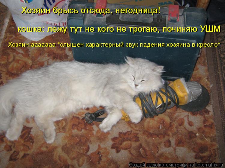 Хозяин брысь отсюда, негодница! кошка: лежу тут не кого не трогаю, починяю УШМ Хозяин:ааааааа *слышен... Котоматрица: Хозяин брысь отсюда, негодница! кошка: лежу тут не кого не трогаю, починяю УШМ Хозяин:ааааааа *слышен характерный звук падения хозяина в кре