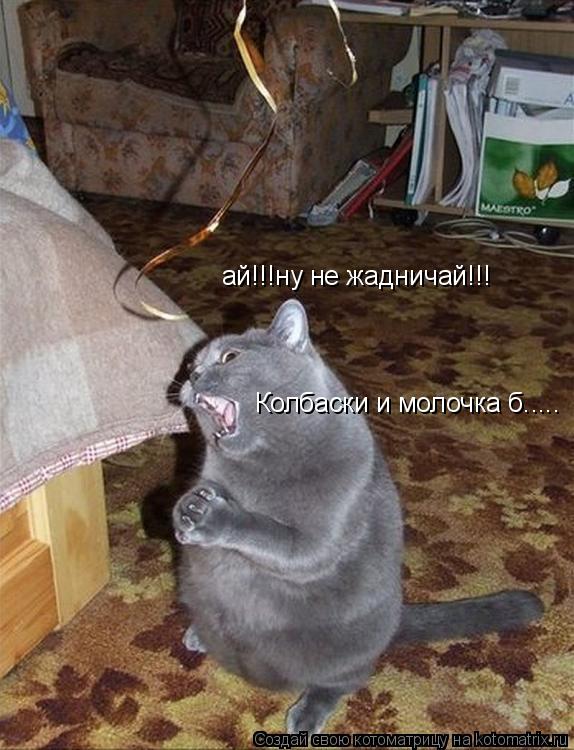 ай!!!ну не жадничай!!! Колбаски и молочка б........ Котоматрица: ай!!!ну не жадничай!!! Колбаски и молочка б.....