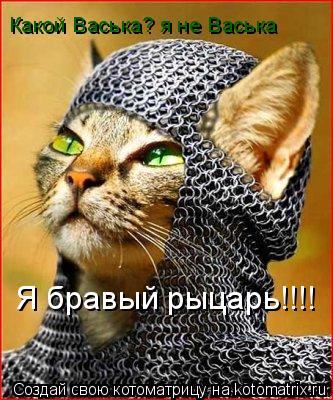 Какой Васька? я не Васька Я бравый рыцарь!!!!... Котоматрица: Какой Васька? я не Васька Я бравый рыцарь!!!!