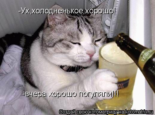 Котоматрица: -Ух,холодненькое,хорошо! -вчера хорошо погуляли!!!